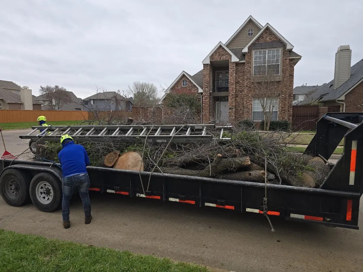 Expert Tree Fertilization with proper safety equipment in Paulden